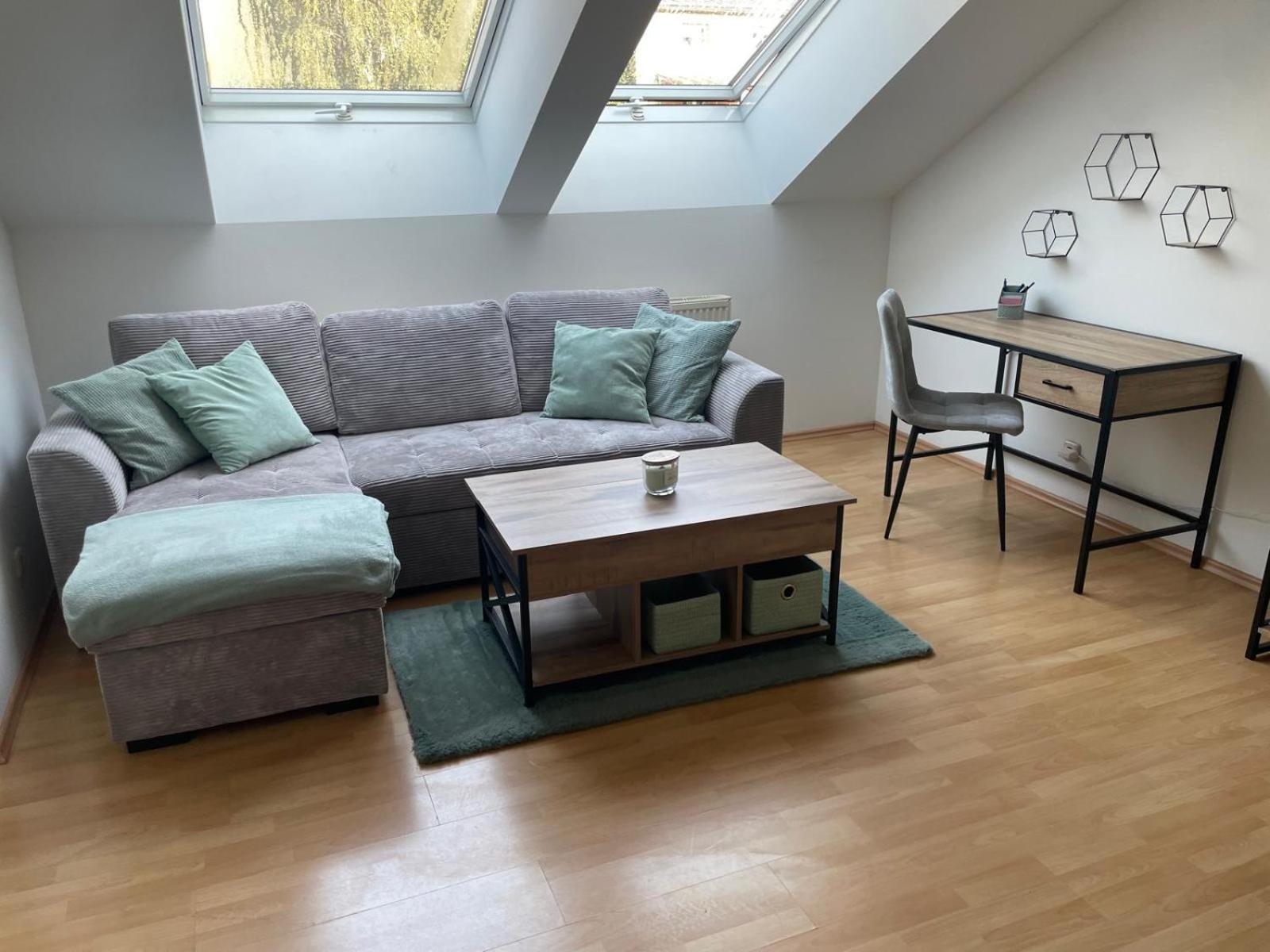 Schoene Wohnung Mit Parkplatz Im Zentrum Von Linz Zewnętrze zdjęcie